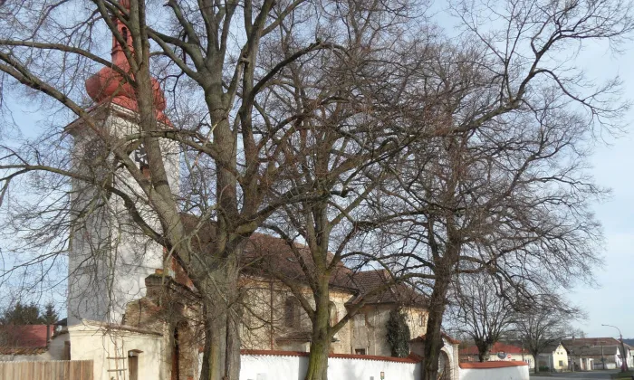 Kostel svatého Bartoloměje (Solopysky)