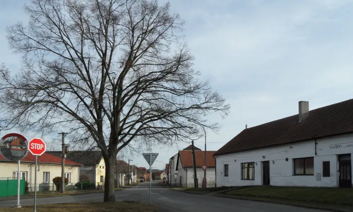 Kostel svatého Bartoloměje (Solopysky)