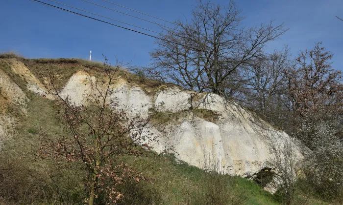 Kostel svatého Bartoloměje (Bílence)