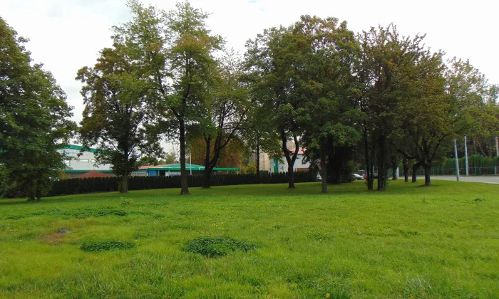 Kostel svatého Františka a Viktora v Ostravě