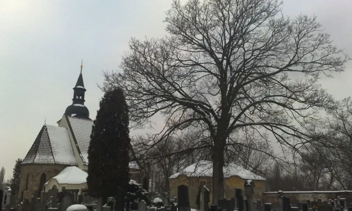 Kostel svatého Jiří (Doubravka)