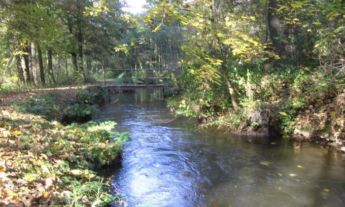 Kostel svatého Kříže (Ronov nad Doubravou)