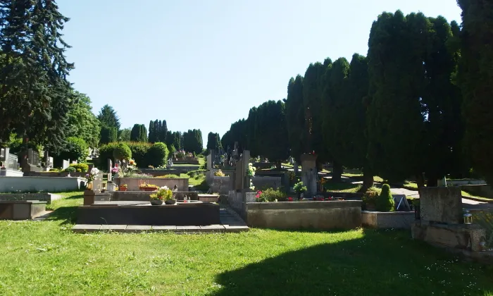 Kostel svatého Petra a Pavla (Želechovice nad Dřevnicí)