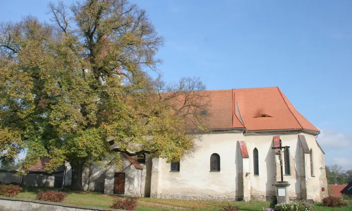 Kostel svatého Prokopa (Žiželice)
