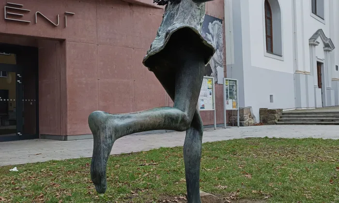 Kostel svatého Václava (Opava-Město)