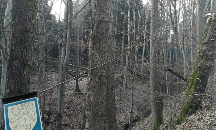 Kostel svatých Andělů strážných (Vidochov)