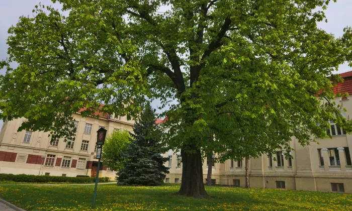 kaple svatého Floriána (Prostějov)