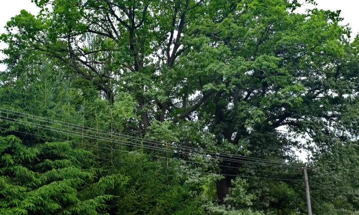 kaple svatého Floriána ve Svinově