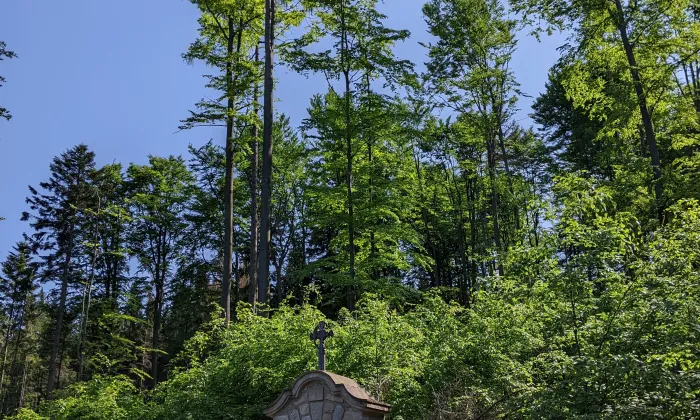 kaple svatého Jana Křtitele (Křemešník)