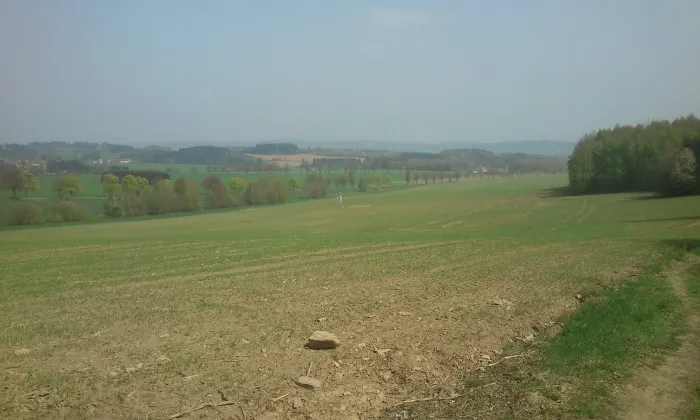 kaple svatého Karla Boromejského (Telč-Štěpnice)