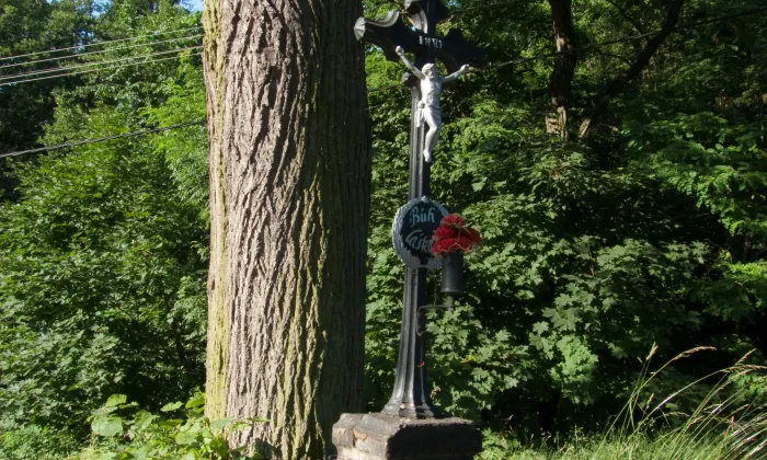 kostel Nanebevzetí Panny Marie (Mladá Vožice)