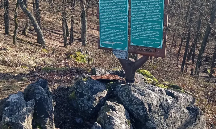 kostel Nanebevzetí Panny Marie (Družec)