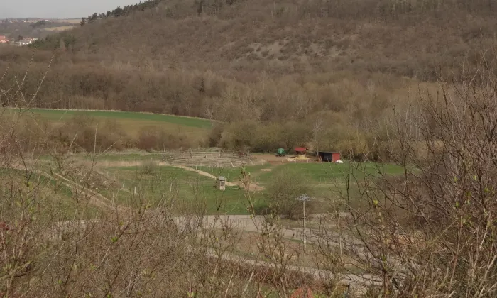 kostel svaté Kateřiny (Choteč)
