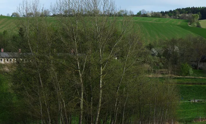 kostel svatého Matouše (Křištín)
