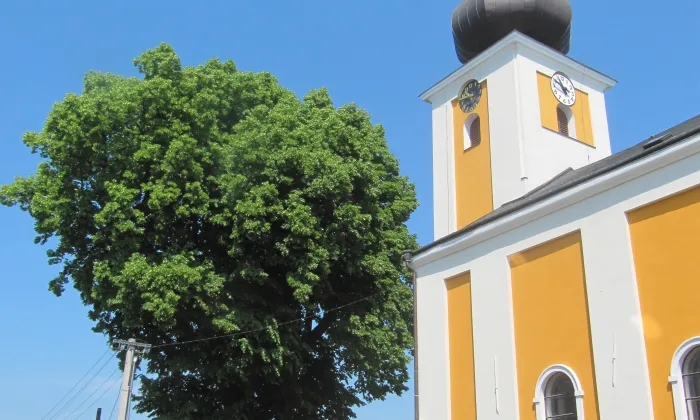 kostel svatého Mikuláše v Březové