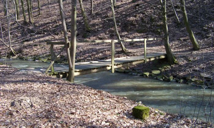 kostel svatého Ondřeje na Sionu