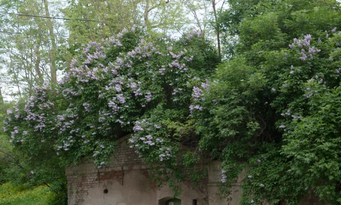 kostel svatého Petra a Pavla (České Křídlovice)