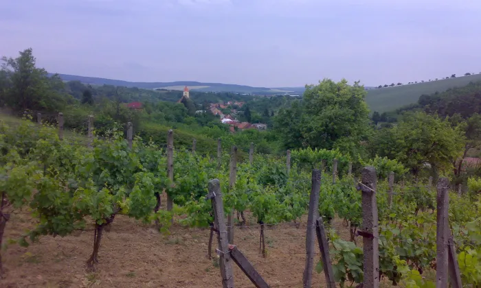 kostel svatého Petra a Pavla (Lovčice)