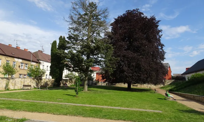 kostel svatého Václava (Lanškroun)