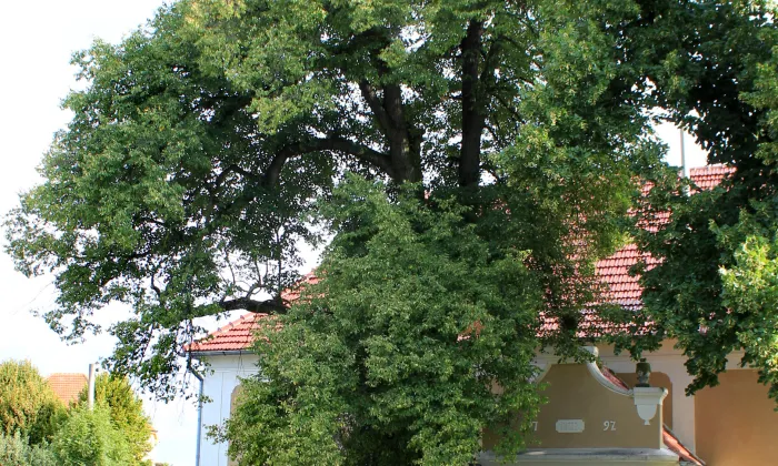 toleranční modlitebna