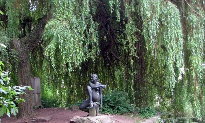 Dvořákovy sady (Karlovy Vary)