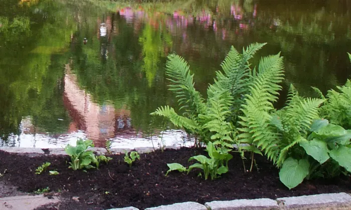 Dvořákovy sady (Karlovy Vary)