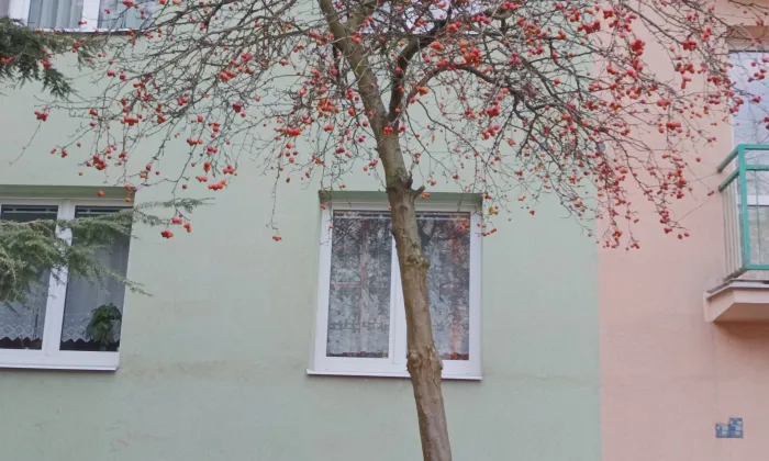 Hlavní třída (Poruba)
