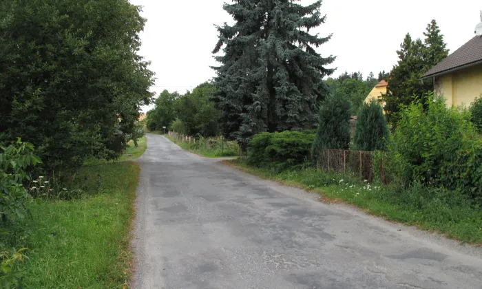 Osojno