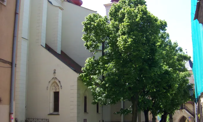 Klášter minoritů (Žatec)