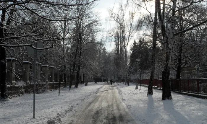 Kubištovy sady
