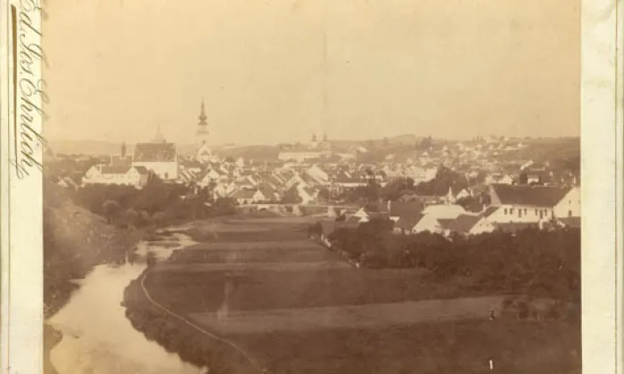 Lísčí