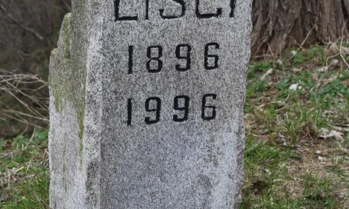 Lísčí
