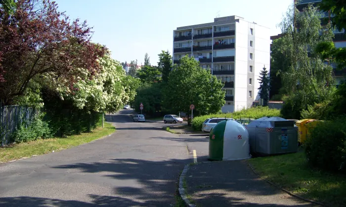 Park Adolfa Borna