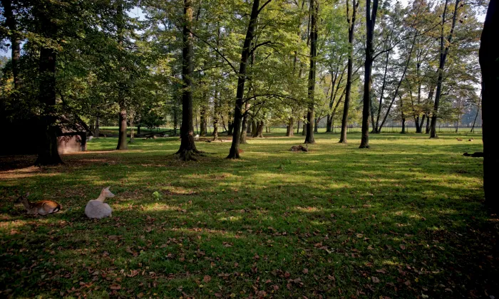 Park Boženy Němcové