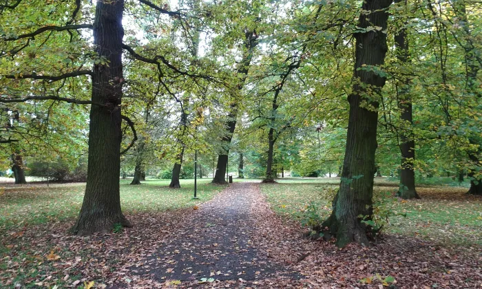 Park Michalov