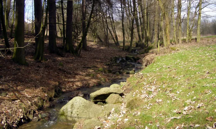 Týnské údolí