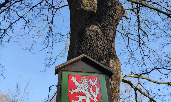 Zámecký park