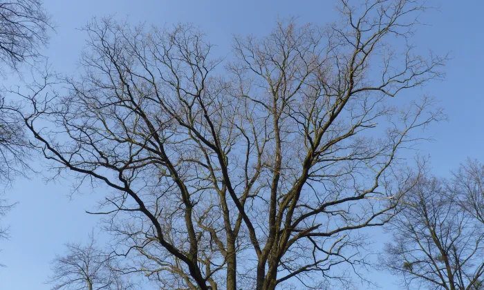 Zámecký park