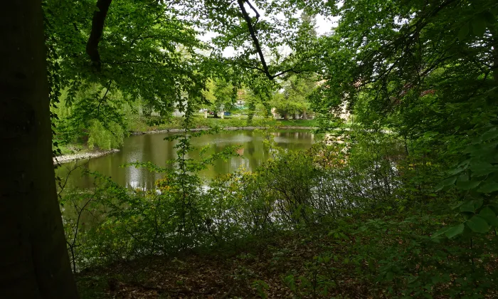 zámecký park ve Vrchotových Janovicích