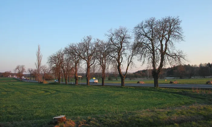 rozvodna Milín