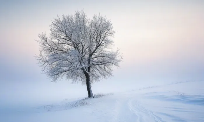 Žlutický kancionál – winter