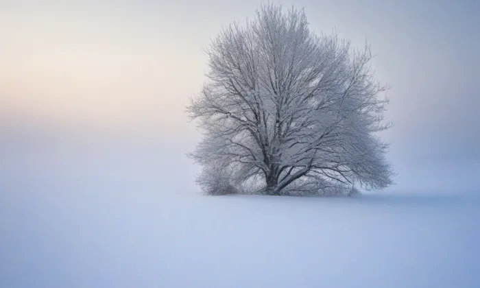Březín – winter