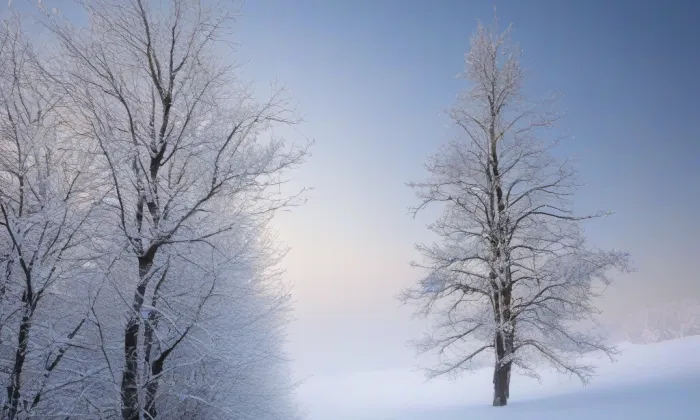 barokní hřbitov ve Střílkách – winter