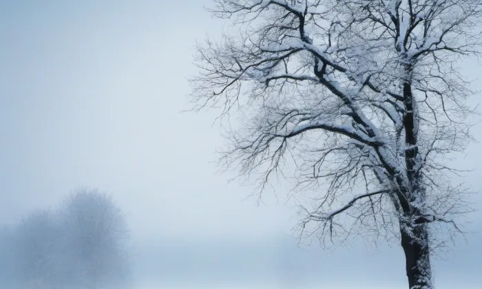 Chlum-Kozlov – winter