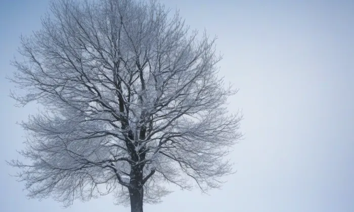 Chrám svatého Václava v Litoměřicích – winter