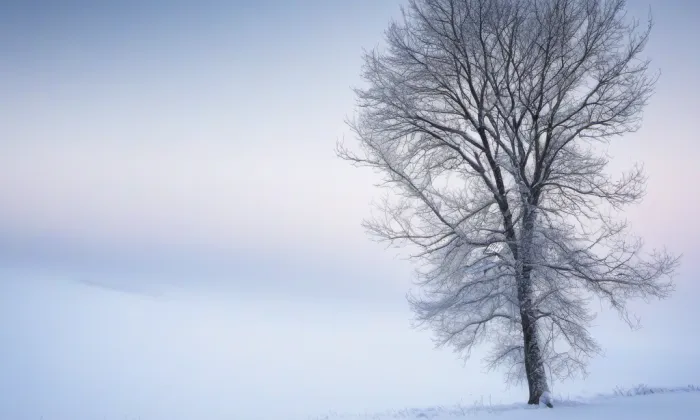 Dobrovítov – winter