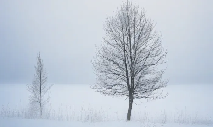 Drážní vodárna Kasejovice – winter