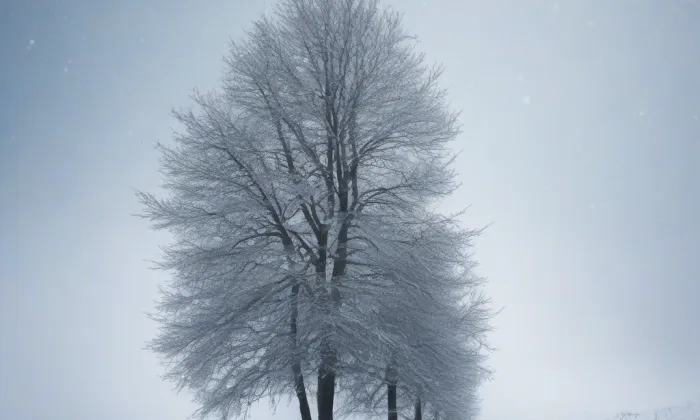 Drábské světničky – winter