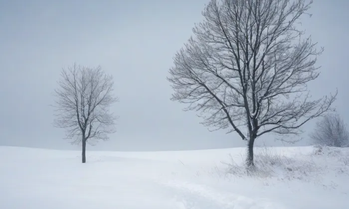 evangelický kostel ve Sloupnici – winter