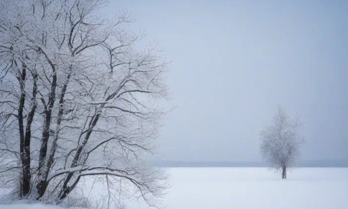 hrad Týnec nad Sázavou – winter